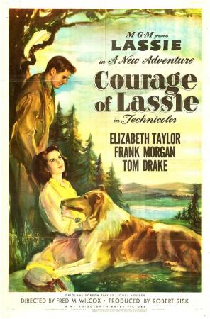 El Valor De Lassie (1946) poster